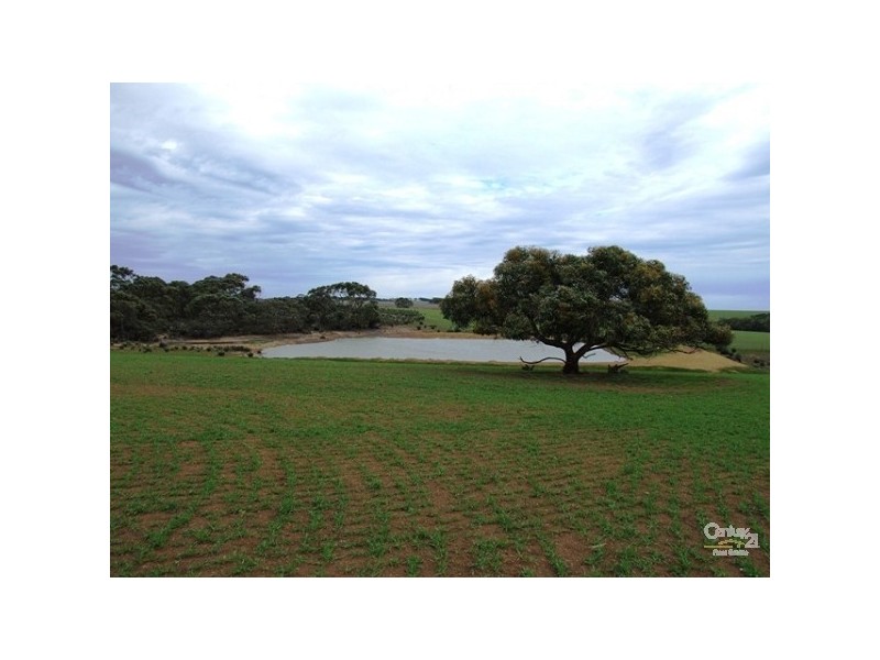 Lot 144 North Coast Road, Cassini SA 5223