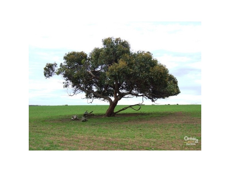 Lot 144 North Coast Road, Cassini SA 5223