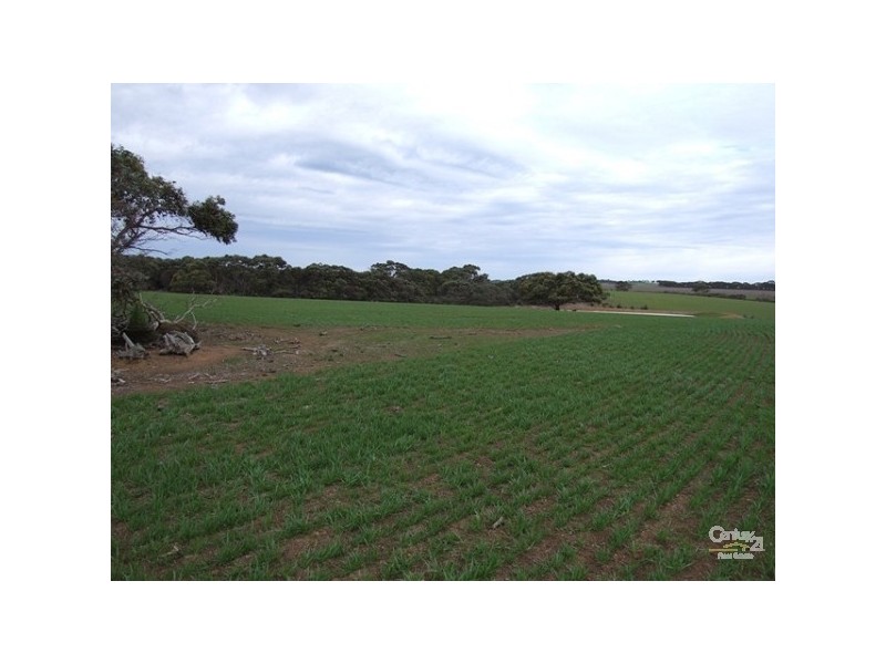 Lot 144 North Coast Road, Cassini SA 5223