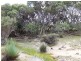 Lot 144 North Coast Road, Cassini SA 5223