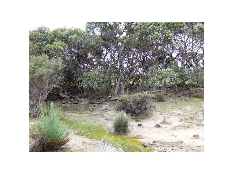 Lot 144 North Coast Road, Cassini SA 5223
