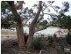 Lot 144 North Coast Road, Cassini SA 5223