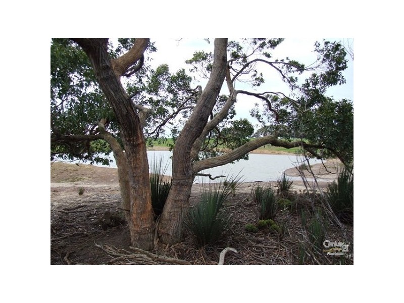 Lot 144 North Coast Road, Cassini SA 5223