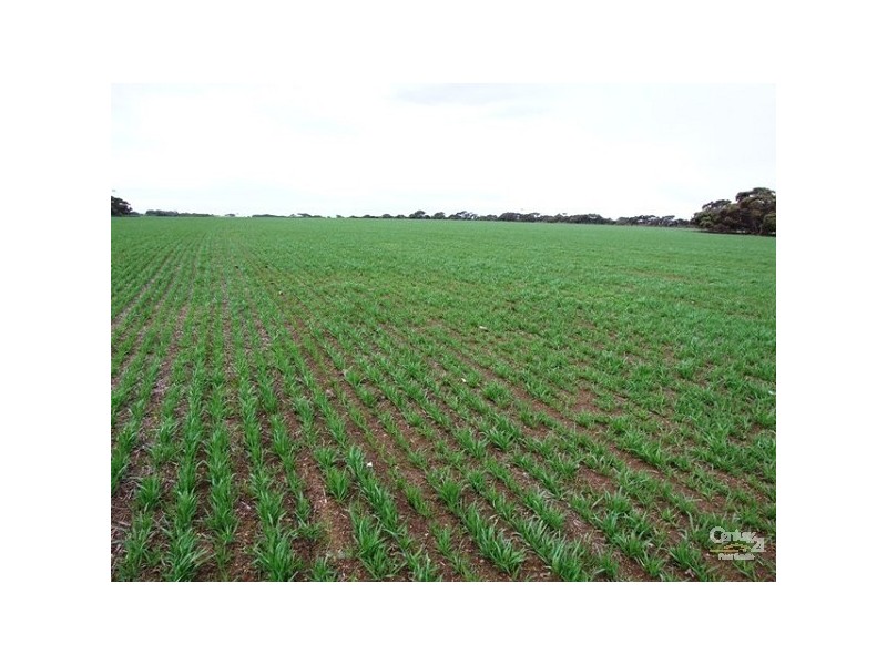Lot 144 North Coast Road, Cassini SA 5223