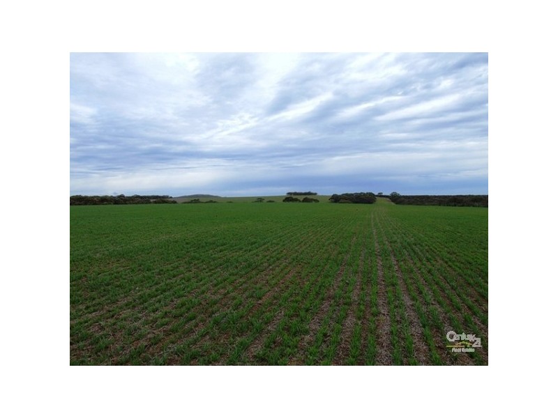 Lot 144 North Coast Road, Cassini SA 5223