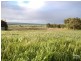 Lot 9 Playford Highway, Parndana SA 5220