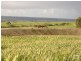 Lot 9 Playford Highway, Parndana SA 5220