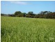 Lot 600 Moores Road, Haines SA 5223
