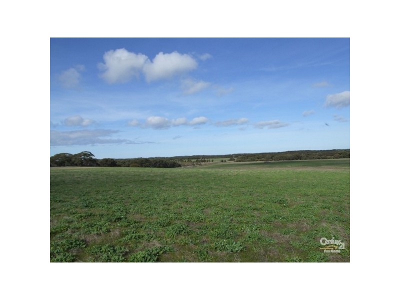Lot 600 Moores Road, Haines SA 5223
