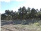 Lot 600 Moores Road, Haines SA 5223