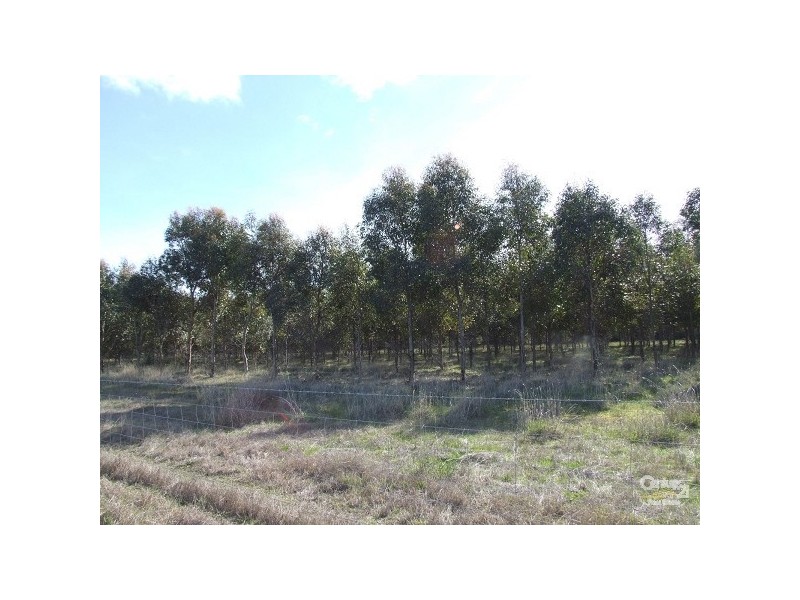 Lot 600 Moores Road, Haines SA 5223