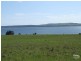 Lot 55 Shoal Bay Ridge, Kingscote SA 5223