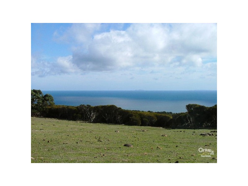Lots 60 62 and 63 Hummocky Road, Cassini SA 5223