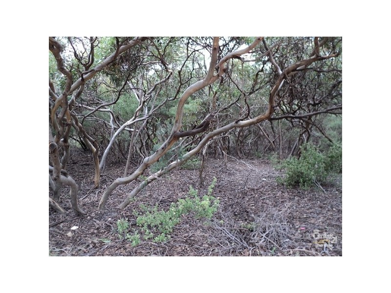 Lots 79 & 80 Sunset Way, Vivonne Bay SA 5223