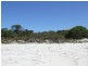Lot 301 Nepean Drive, Island Beach SA 5222