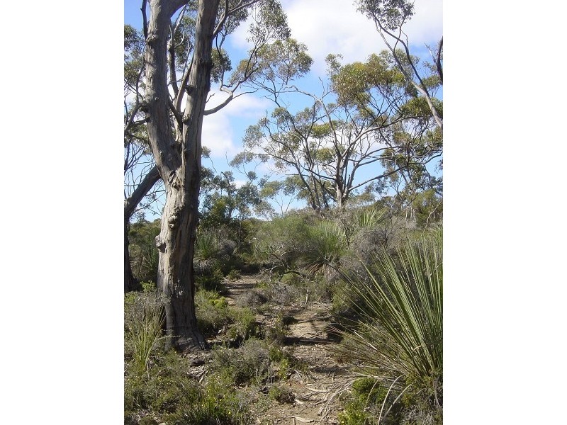 Lot 46 Snug Cove Road, De Mole River SA 5223