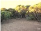 Section 61 South Coast Road, Macgillivray SA 5223