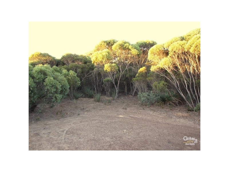 Section 61 South Coast Road, Macgillivray SA 5223