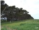 Lot 880 Cnr Birchmore Rd and Bomb Alley Rds, Birchmore SA 5223