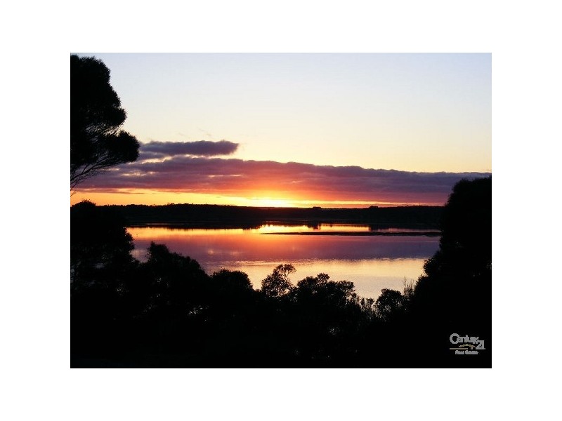 Section 244 Muston Road, Muston SA 5221