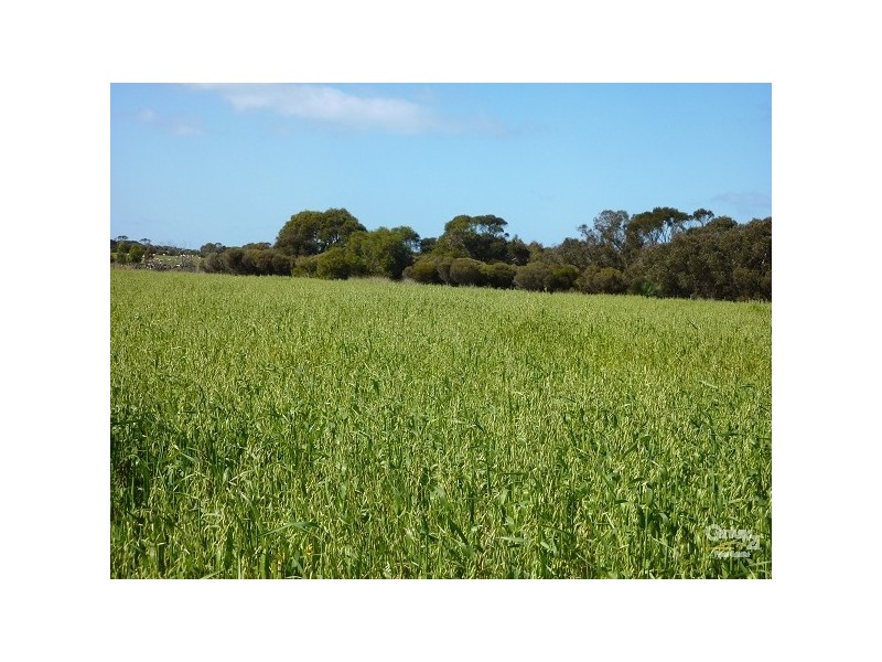 Lot 601 Moores Road, Haines SA 5223