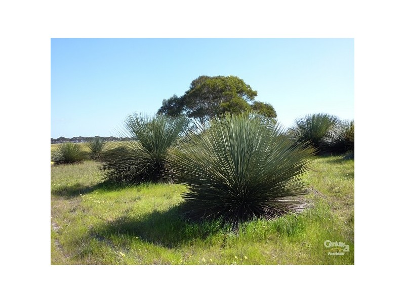 Lot 601 Moores Road, Haines SA 5223