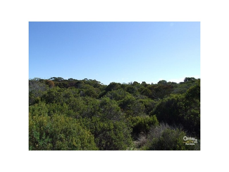 Lot 126 Island Beach Road, Island Beach SA 5222