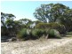 Lot 51 Three Chain Road, Macgillivray SA 5223