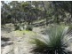 Lot 201 Faile Court, American River SA 5221