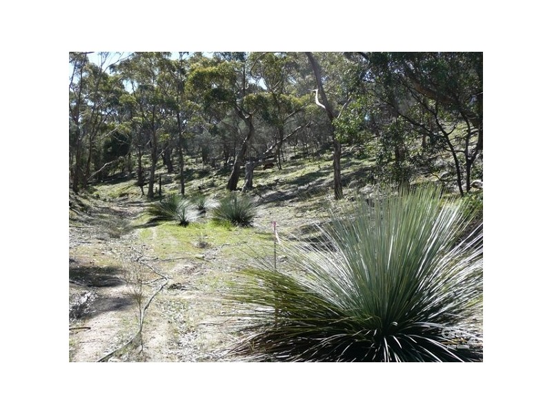 Lot 201 Faile Court, American River SA 5221
