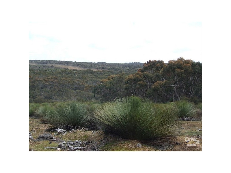 Lot 201 Playford Hwy, Gosse SA 5223