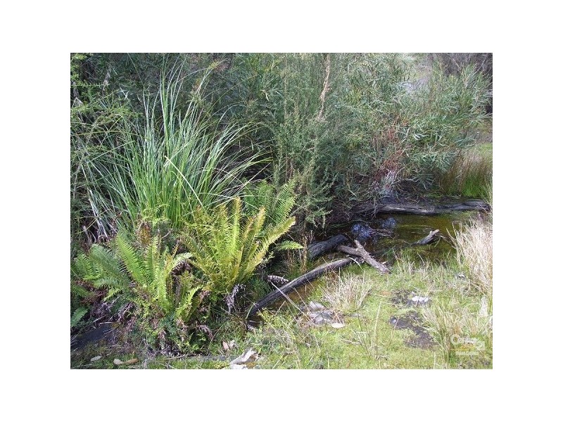 Lot 201 Playford Hwy, Gosse SA 5223