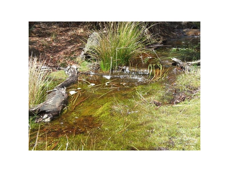 Lot 201 Playford Hwy, Gosse SA 5223