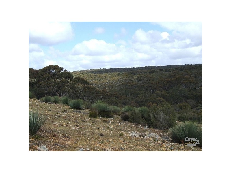 Lot 201 Playford Hwy, Gosse SA 5223