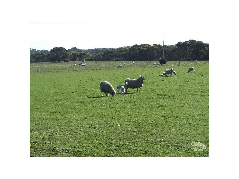 Section 9 South Coast and Hickman Rd, Vivonne Bay SA 5223