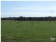 Section 9 South Coast and Hickman Rd, Vivonne Bay SA 5223