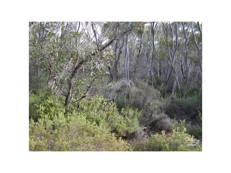 Lot 11 Cnr Seal Bay and Graham Roads, Seal Bay SA 5223