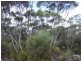 Lot 11 Cnr Seal Bay and Graham Roads, Seal Bay SA 5223