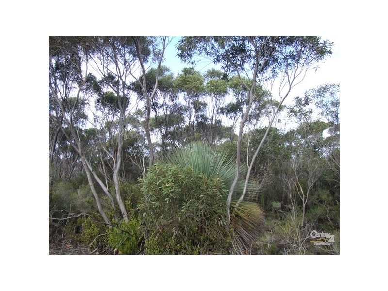 Lot 11 Cnr Seal Bay and Graham Roads, Seal Bay SA 5223