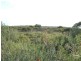 Lot 11 Cnr Seal Bay and Graham Roads, Seal Bay SA 5223