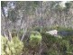 Lot 11 Cnr Seal Bay and Graham Roads, Seal Bay SA 5223