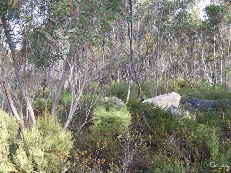 Lot 11 Cnr Seal Bay and Graham Roads, Seal Bay SA 5223