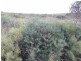 Lot 11 Cnr Seal Bay and Graham Roads, Seal Bay SA 5223