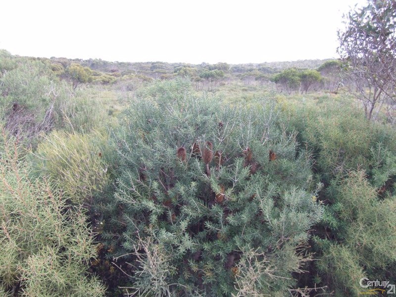 Lot 11 Cnr Seal Bay and Graham Roads, Seal Bay SA 5223