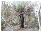 Lot 11 Cnr Seal Bay and Graham Roads, Seal Bay SA 5223