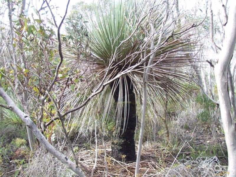 Lot 11 Cnr Seal Bay and Graham Roads, Seal Bay SA 5223