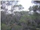 Lot 11 Cnr Seal Bay and Graham Roads, Seal Bay SA 5223