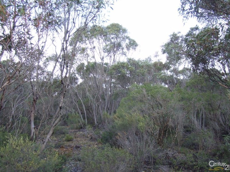 Lot 11 Cnr Seal Bay and Graham Roads, Seal Bay SA 5223