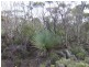 Lot 11 Cnr Seal Bay and Graham Roads, Seal Bay SA 5223