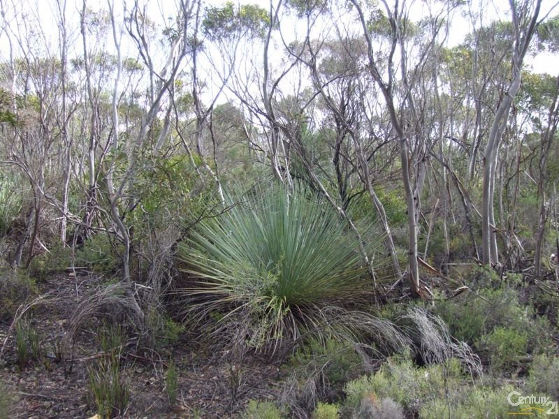 Lot 11 Cnr Seal Bay and Graham Roads, Seal Bay SA 5223